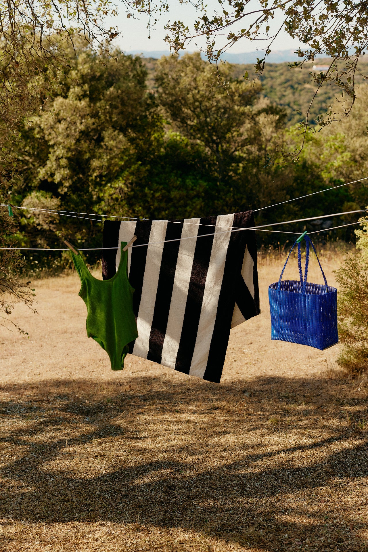 Best of Summer Collection Image